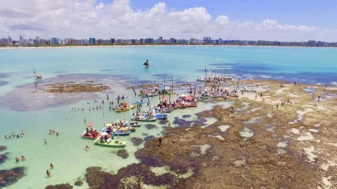 Um passeio imperdível em Maceió: Piscinas naturais da Pajuçara - Marcio no  Mundo