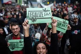Pessoas com placas pedindo a legalização da maconha