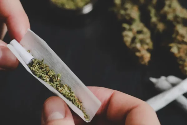 Pessoa montando um cigarro de maconha com papel de seda e flores secas de cannabis medicinal