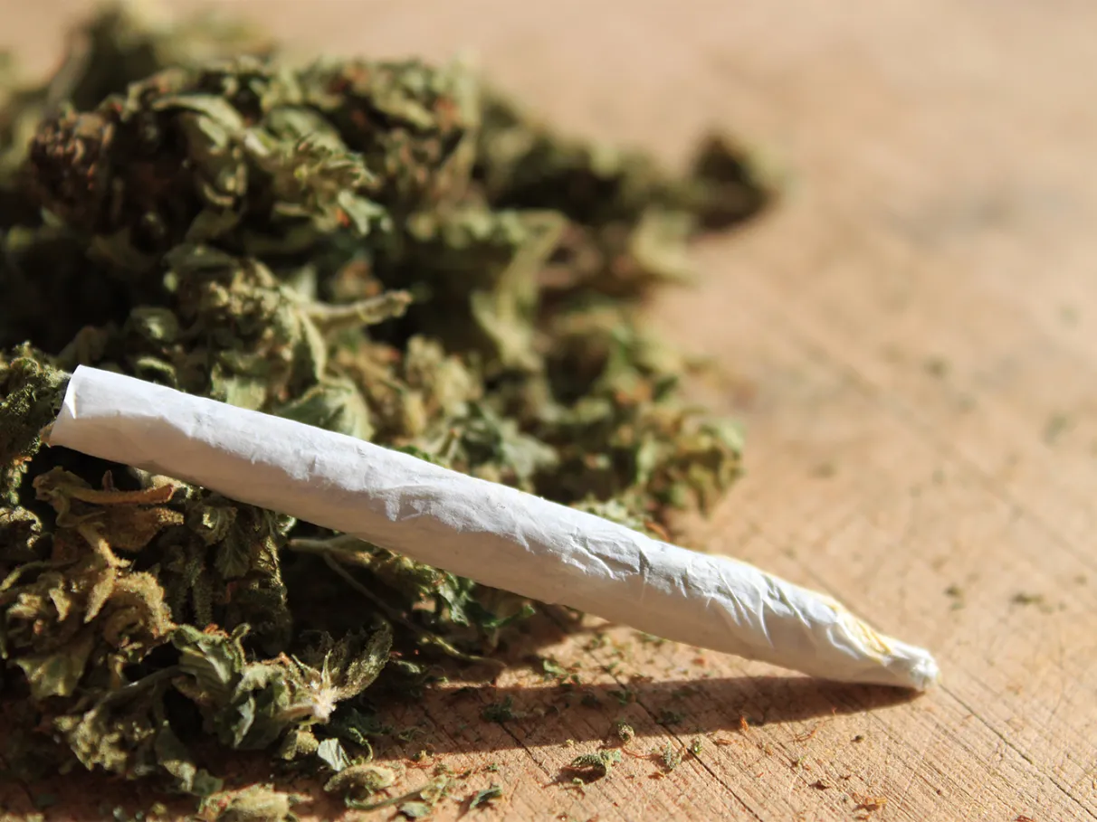 Cigarro de maconha pronto em cima de flores secas de cannabis sobre superfície de madeira