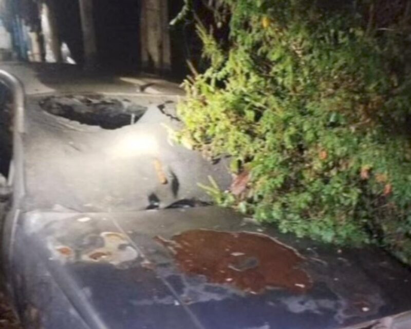 Carro destruído e queimado com a lataria totalmente danificada após incêndio em rua de bairro residencial.