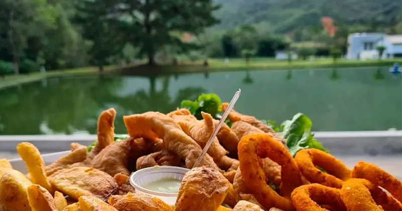 pesque-pague-marquesin-jaragua-sul-roteiro-capa