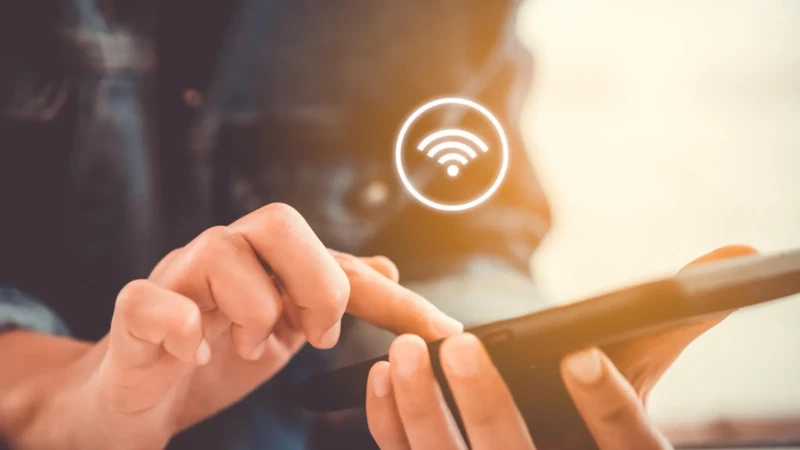 4977302_33b4f2b2e03198c