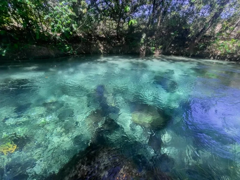Vista do Poço Azul com águas transparentes cercado por vegetação em Aurora do Tocantins