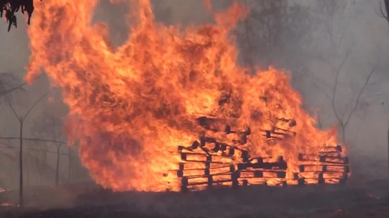 WhatsApp-Image-2024-08-23-at-14.51.01