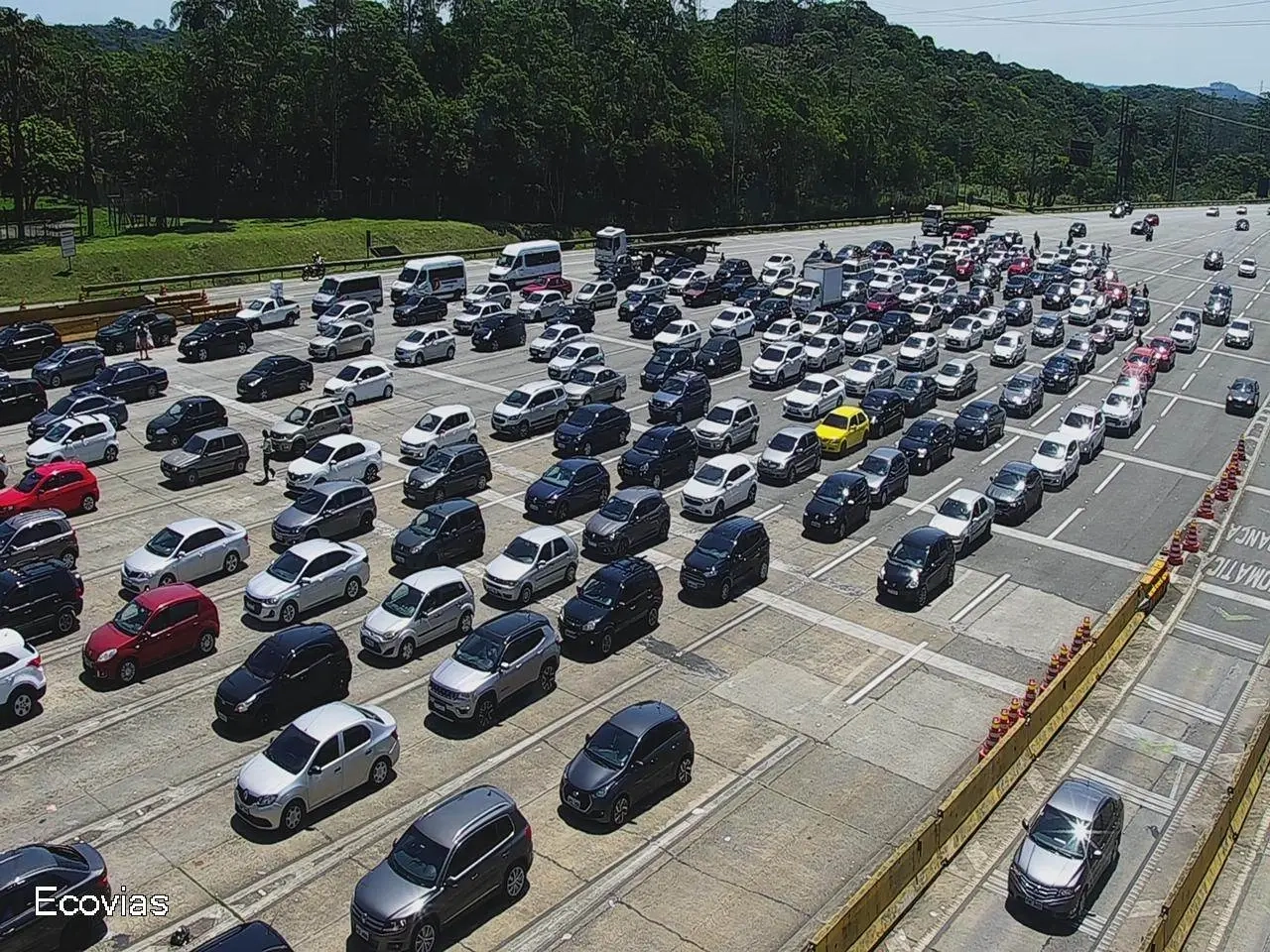 16638_A042A614B7C35832