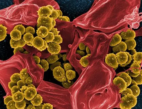 23782147580004753650000