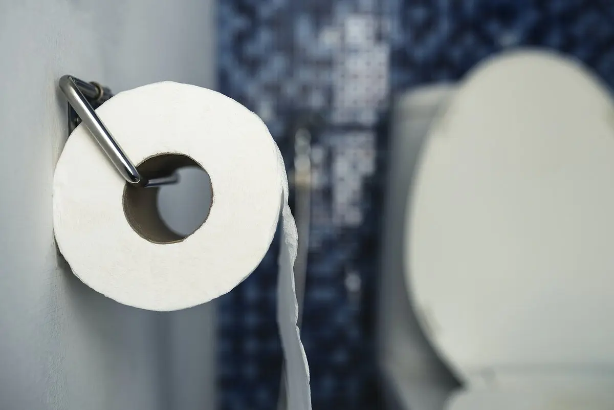 curiosidades-papel-higienico-ok