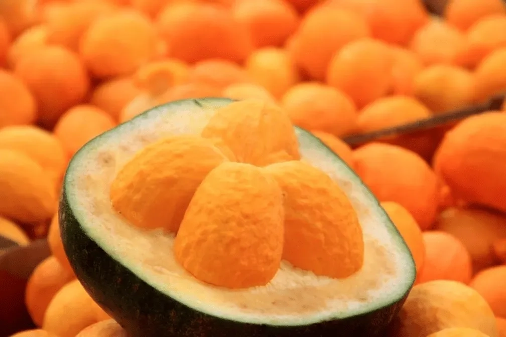 frutos-do-cerrado-21-frutas-tipicas-que-voce-deveria-conhecer
