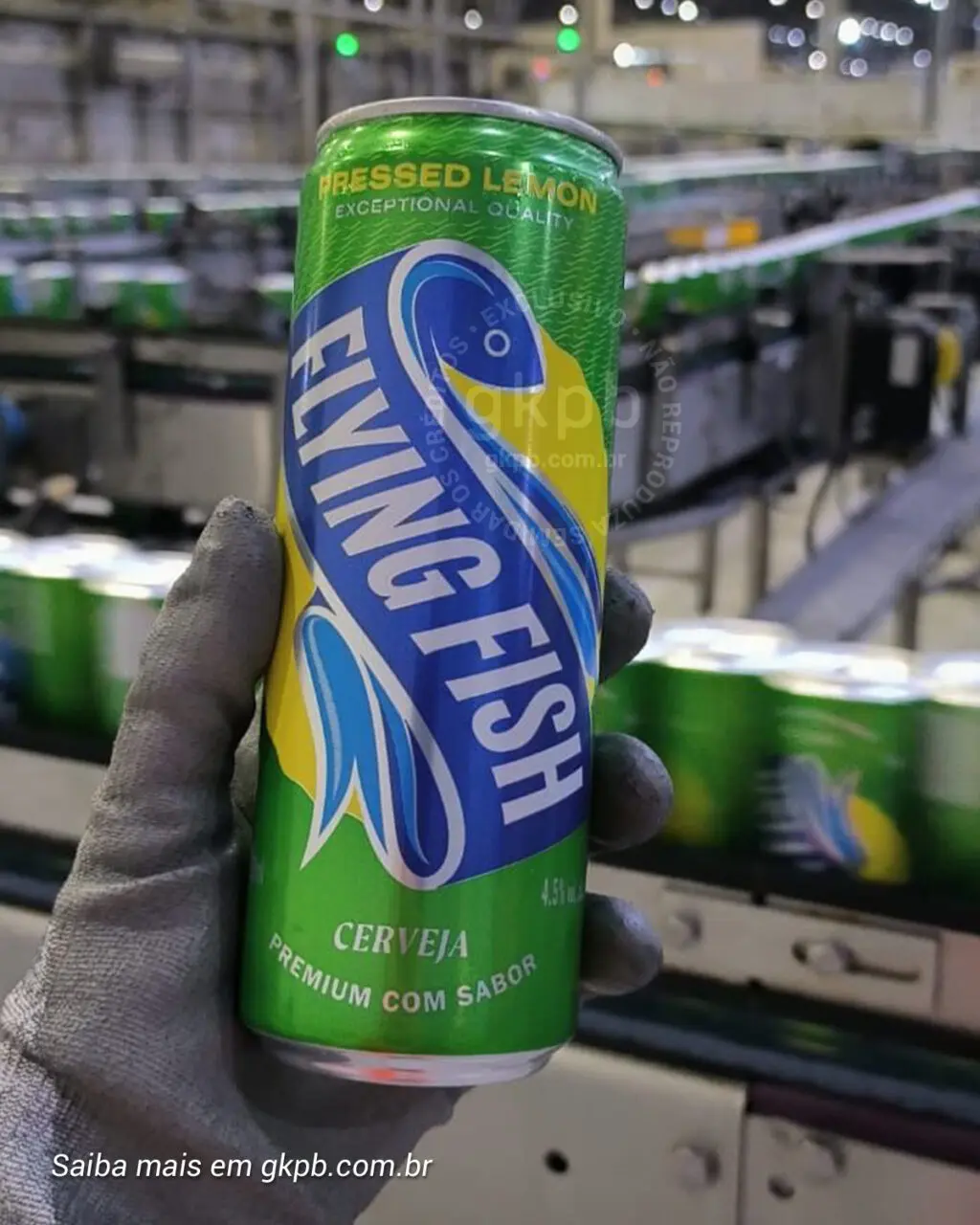 insta-flying-fish-2-1024x1280