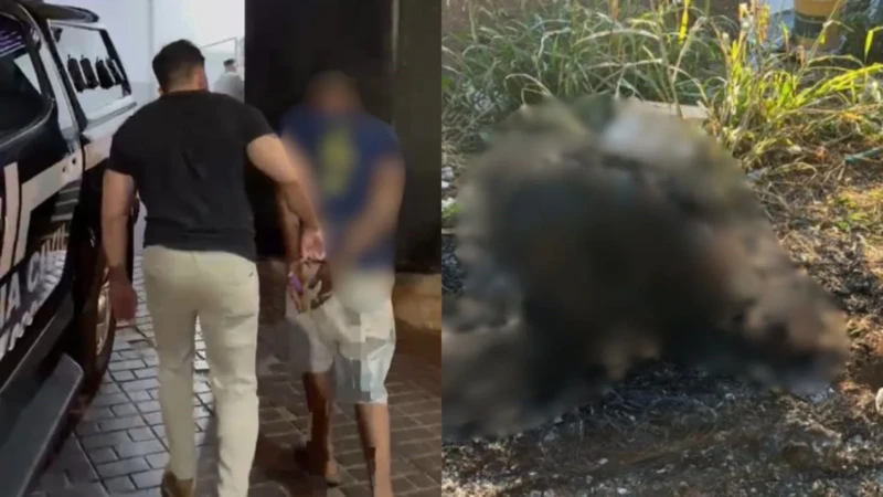 Operacao-Manto-e-Cinzas