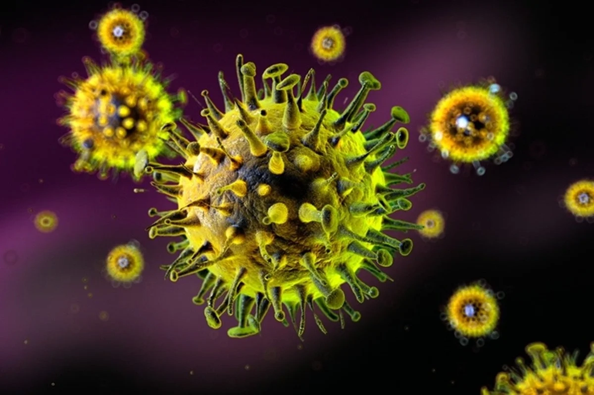 Virus-da-gripe-e1730567628432