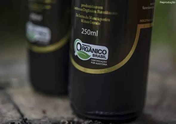 Baixo-e-Variedades-3-4