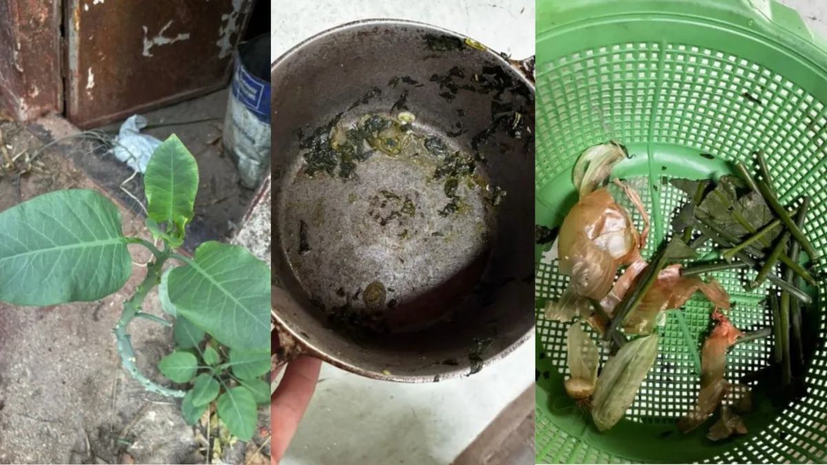 Design-sem-nome-2025-10-09T105447.436