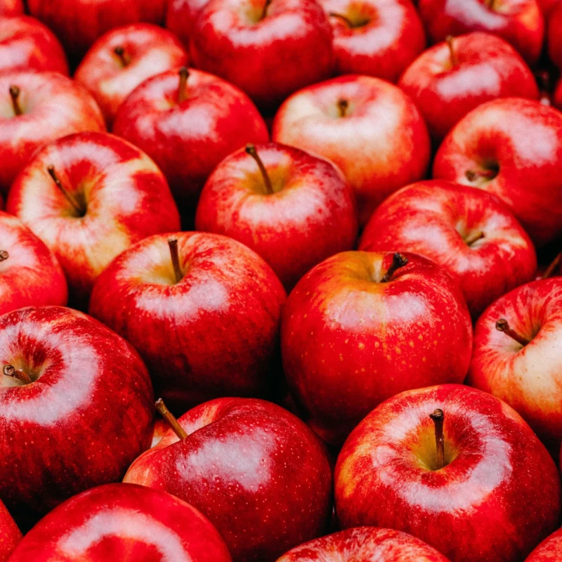 maca-1516308281068_v2_1x1