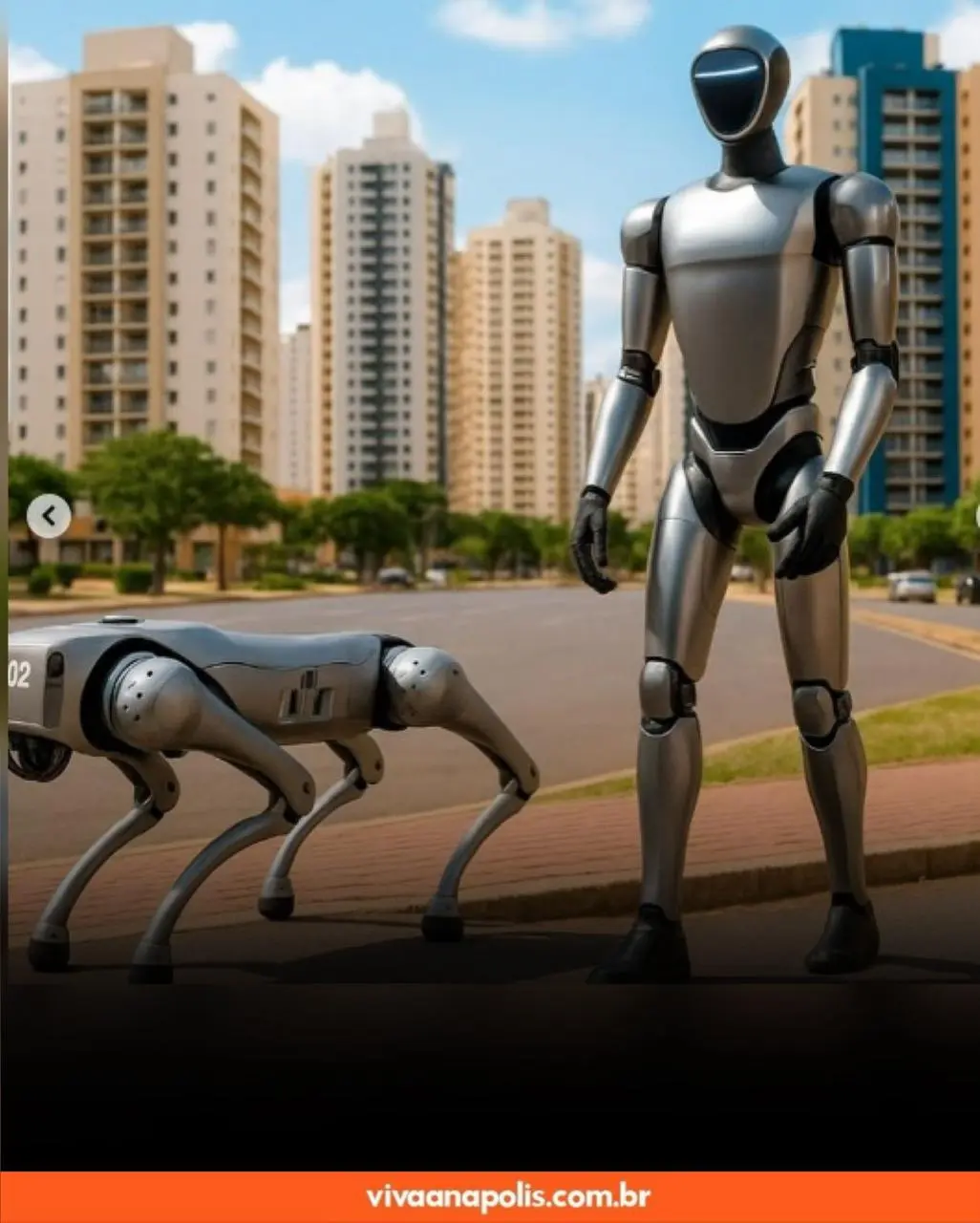 WhatsApp Image 2025-10-08 at 16.40.31