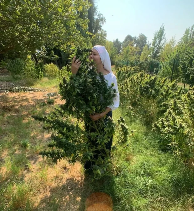 whatsapp-image-2025-10-16-at-07-39-24-620x672