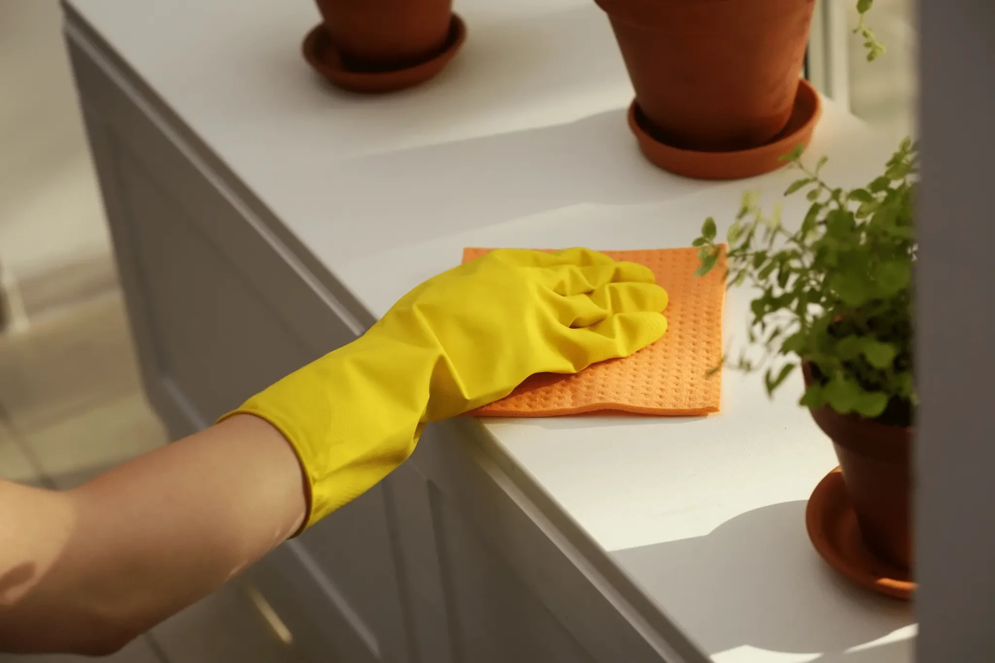 Design-sem-nome-18-2048x1365