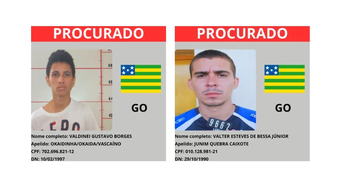 sem-titulo
