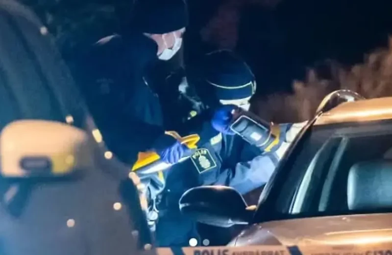 20251218203135FaCV9D4q4x