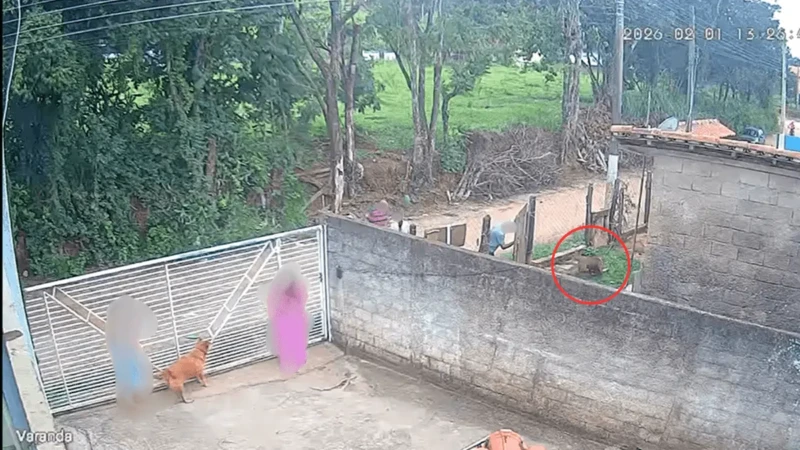 imagens-registraram-o-ataque-20230_1200x675