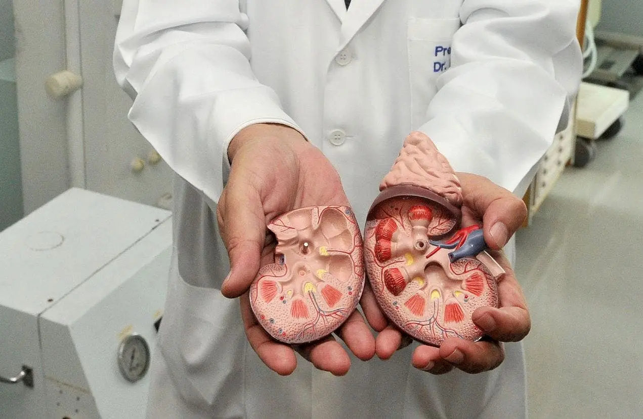 como-curar-pedra-nos-rins