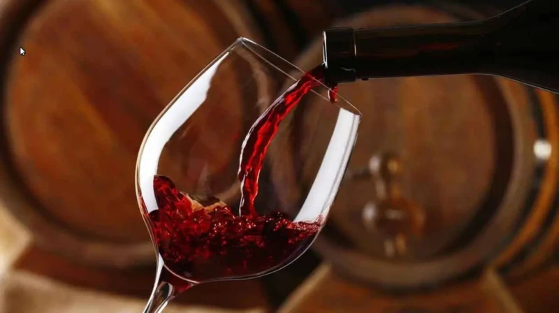 cinco-fatos-sobre-vinhos