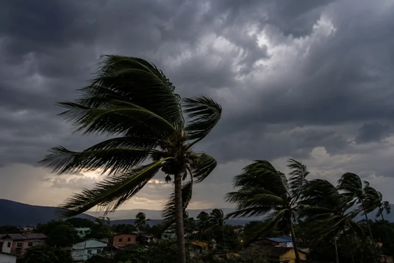 Árvores balançam com ventos fortes durante alerta de vendaval em Goiás.