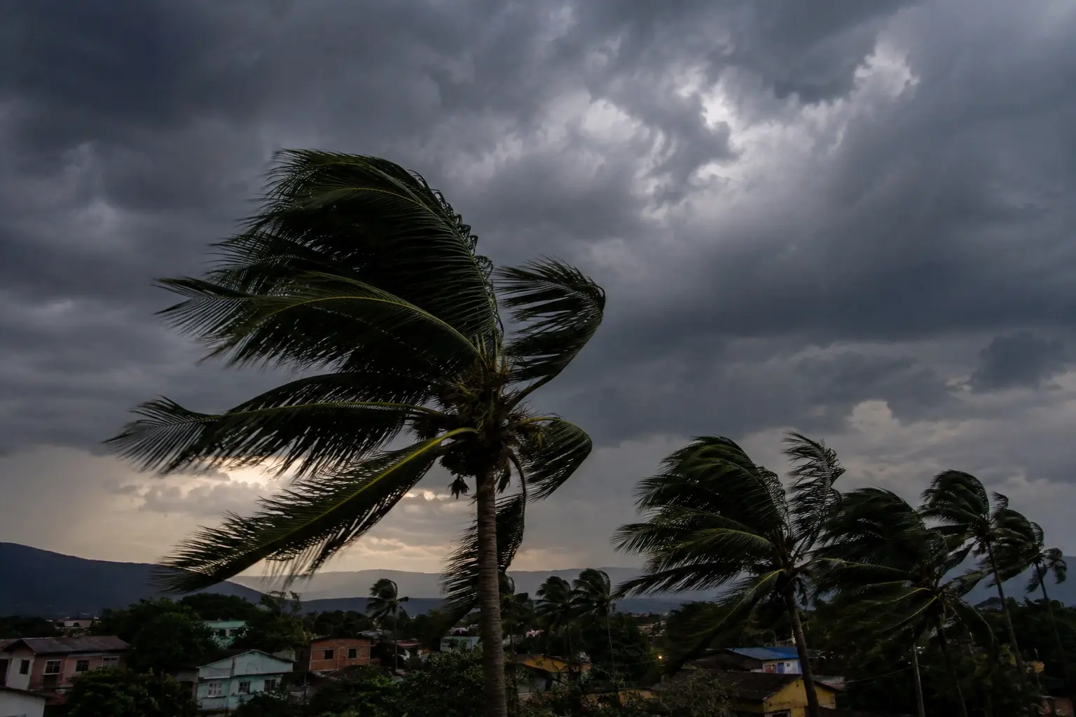 Árvores balançam com ventos fortes durante alerta de vendaval em Goiás.