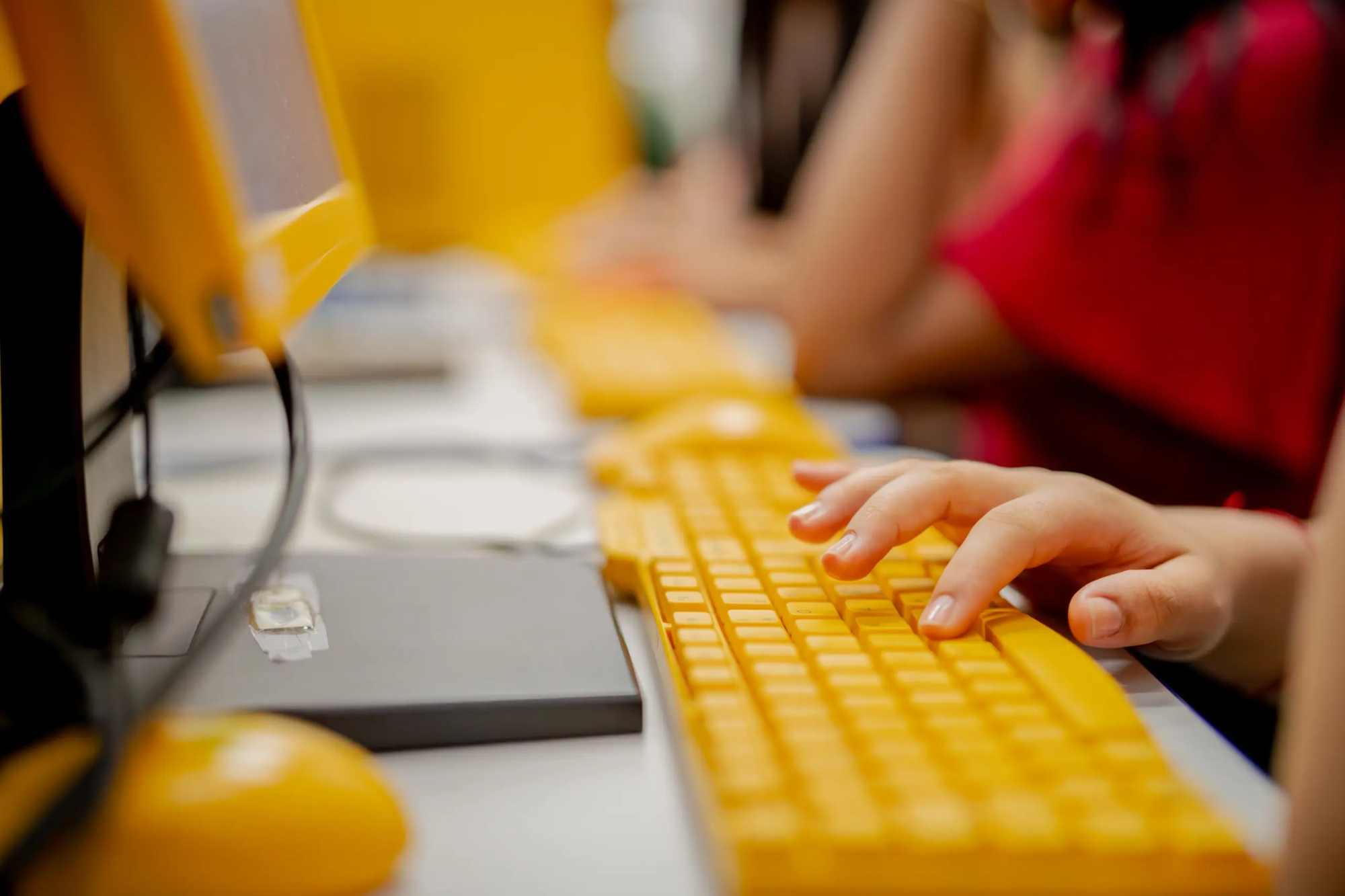 Pessoa utiliza computador; Anápolis oferece 75 vagas em cursos superiores gratuitos de Administração Pública e Gestão do Agronegócio.