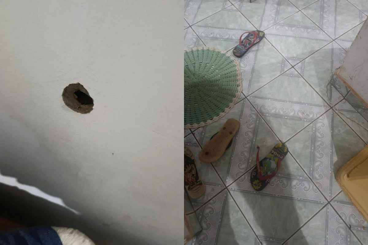 Marcas de disparos e objetos espalhados dentro da residência onde jovem morreu em Anápolis.