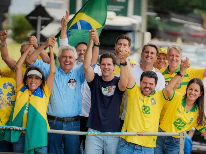 Grupo de pessoas com camisetas verdes e amarelas e bandeira do Brasil participa de uma mobilização política.