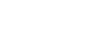 Portal Viva Goiás